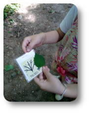 animation nature enfants